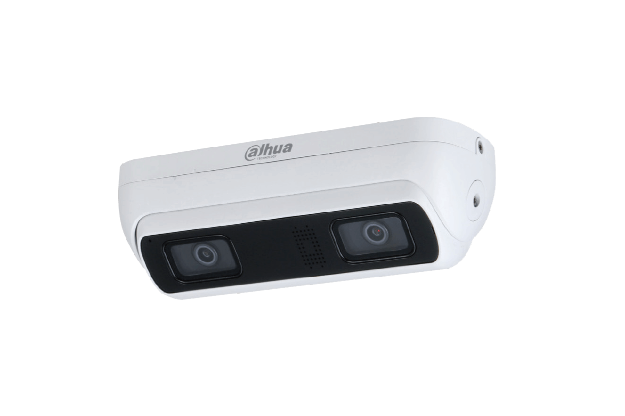 3MP WizMind雙鏡頭網路攝影機